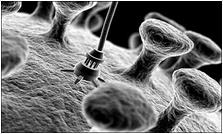 20130215 NanotechnologieK